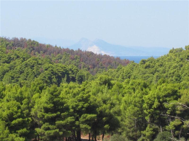 Panormos  Villa Mara מראה חיצוני תמונה